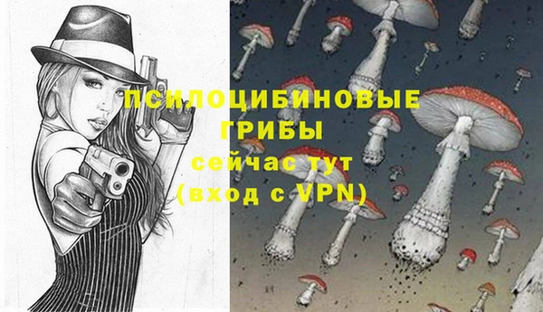 ALPHA-PVP Горнозаводск