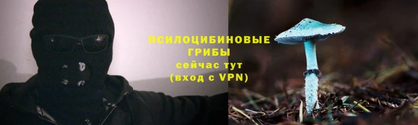 ALPHA-PVP Горнозаводск