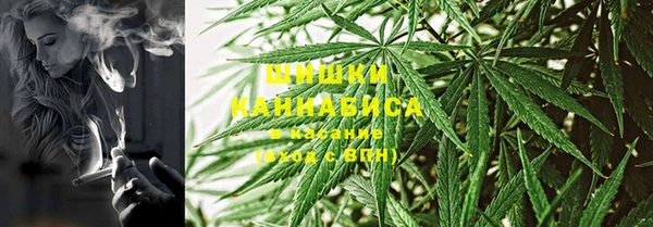 mdpv Горно-Алтайск