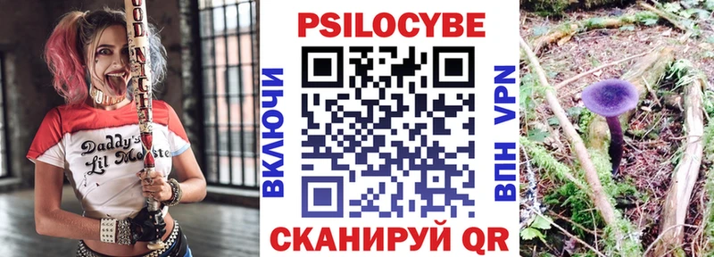 магазин продажи наркотиков  Березники  Галлюциногенные грибы GOLDEN TEACHER 