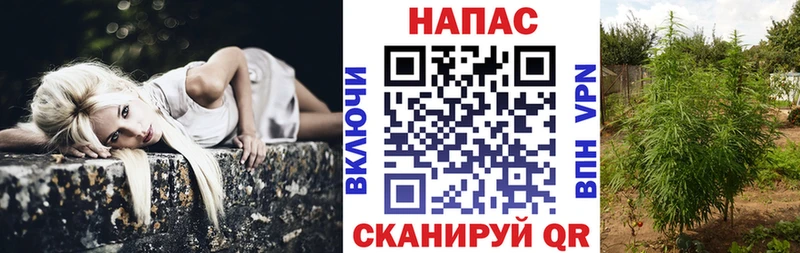 Канабис SATIVA & INDICA  закладка  Березники 